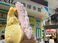 -柠檬车露(卖草地店)