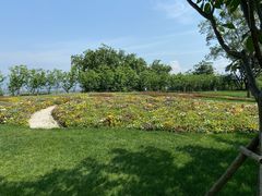 -福建鲤鱼洲酒店