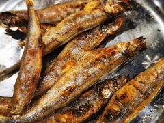 -京朋串屋·烧烤(望京西路总店)