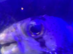 -太平洋海底世界