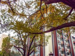 -四川大学(华西校区)