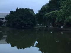 -西南交通大学(九里校区)