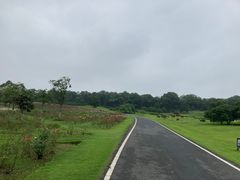 -宜兴龙背山森林公园