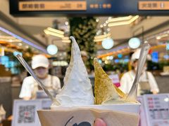 -野人先生Gelato(上海长宁龙之梦店)