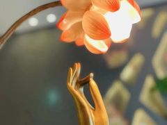 -并蒂莲·禅意蔬食(原五大道店)