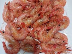 -天天鱼港·海鲜·鲅鱼水饺·招牌烤鸭(黄骅店)