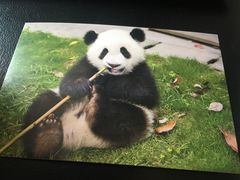 -每碗面馆(新鸿安大厦店)