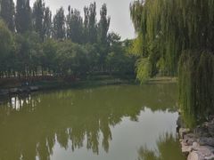 -大兴滨河森林公园