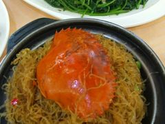 -五谷芳乳鸽王（大梅沙总店C区）(网红打卡店)
