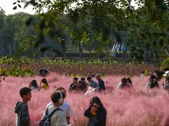 -艾溪湖湿地公园