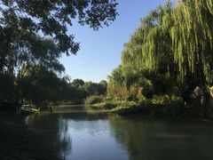 -昆山城市生态森林公园