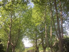 -郑州植物园