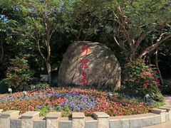 -野狸岛