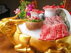 -尚海豆捞(乐虹坊店)