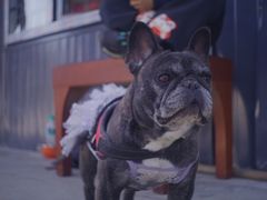 -紫光园(燕郊总店)