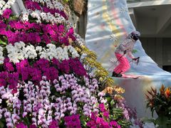 -北京植物园-展览温室