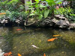 -广州白天鹅宾馆