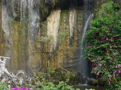 -西双版纳原始森林公园