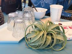 -KYO COFFEE(胶州路店)