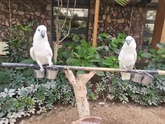 -南宫五洲植物乐园