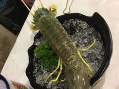 -鲜入围煮花胶鸡海鲜火锅