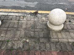 -星巴克(深圳龙华和平里店)
