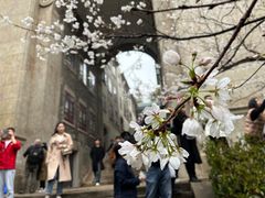 -武汉大学-樱园