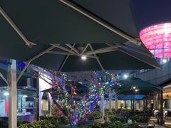-胜记酒家·风味线(南山花园城店)