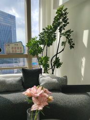 -JNK皮肤管理中心