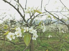 -彭州市湔江绿道