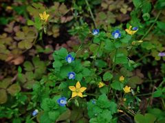 -苏州河梦清园环保主题公园