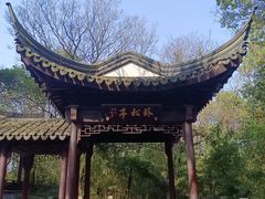 -上海佘山国家森林公园天马山园