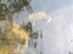 -碓臼峪自然风景区