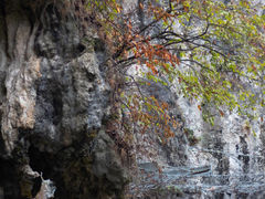-龙里油画大草原旅游区