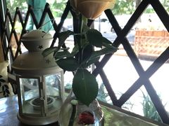 -臻味私厨(国际社区店)