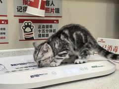-御宝贝24h宠物医院·转诊中心·CT核磁血透中心(厦门总院)