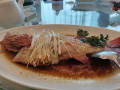 东星斑-益健名厨海鲜城(夏湾店)