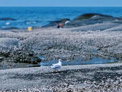 -辽宁团山国家级海洋公园