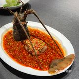 初见观云桂语