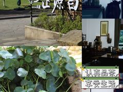 -正源安吉白茶特产享购商场(安吉店)