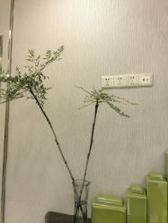 -斐研美医疗美容·眼周抗衰中心