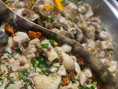 -百岁鱼(七一路店)