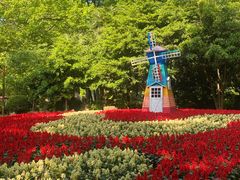 -上海共青森林公园