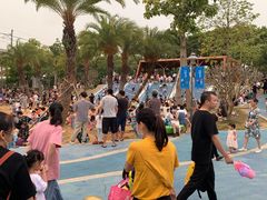 -宝安西湾红树林湿地公园