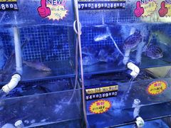 -八仔大富楼·河鲜(西江店)