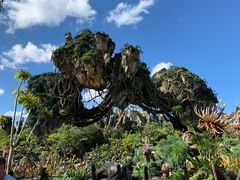 阿凡达-奥兰多迪士尼动物王国乐园