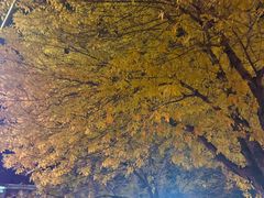 -雀舞云南菜(天津天河城购物中心店)