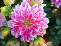 -渔米粥(罗湖店)