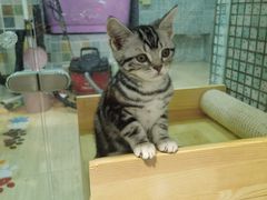 -唯美宠物生活馆(绿地国际生态城店)