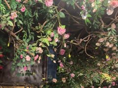 -第101座花园餐厅(湖滨88店)